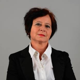 Anca Raican, Executive Manager
